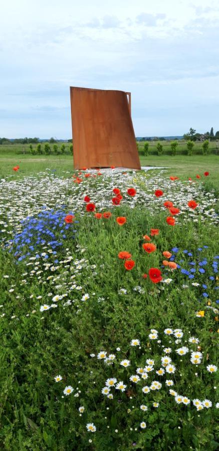 Gite Dans Parc De Sculptures - Gite "Pondichery" Port-Mort 外观 照片
