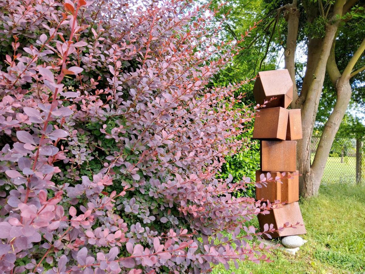 Gite Dans Parc De Sculptures - Gite "Pondichery" Port-Mort 外观 照片