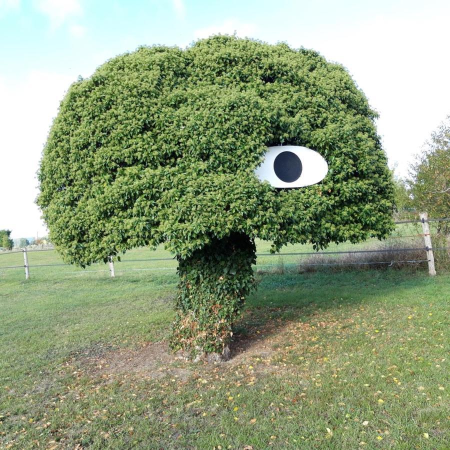 Gite Dans Parc De Sculptures - Gite "Pondichery" Port-Mort 外观 照片